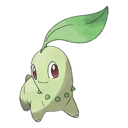 Chikorita
