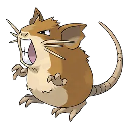 Raticate