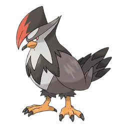 Staraptor