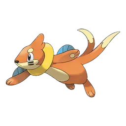 Buizel