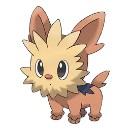 Lillipup