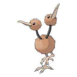 Doduo