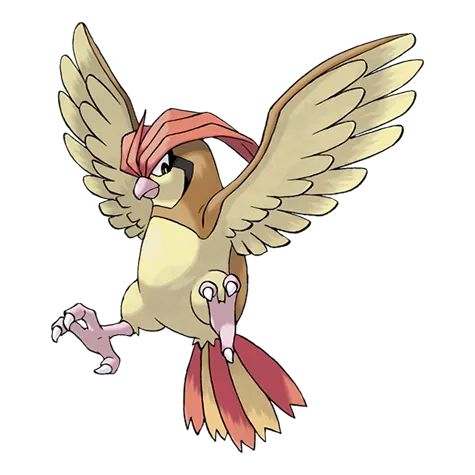 Pidgeotto - Normal/Flying type Pokémon #17, official artwork