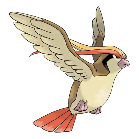 Pidgeot - Normal/Flying type Pokémon #18, official artwork