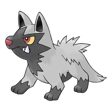 Poochyena