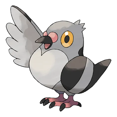 Pidove - Normal/Flying type Pokémon #519, official artwork