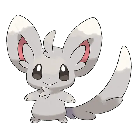 Minccino - Normal type Pokémon #572